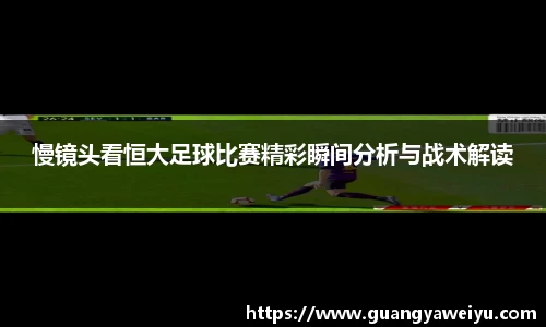 威廉希尔WilliamHill官网