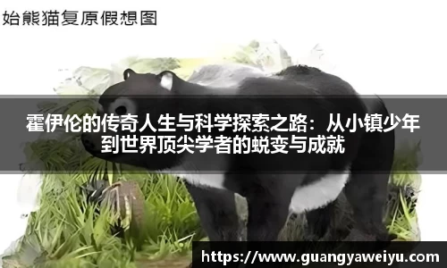 威廉希尔体育