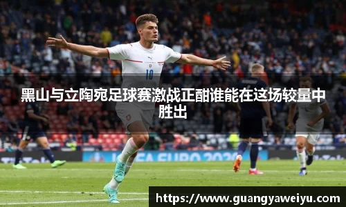黑山与立陶宛足球赛激战正酣谁能在这场较量中胜出