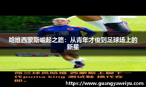 威廉希尔WilliamHill